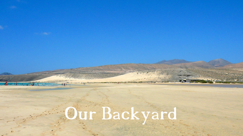 Our Backyard
